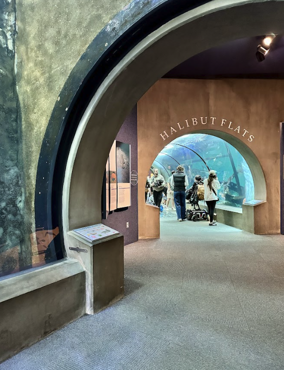 Screenshot 2025 07 11 at 11 51 19 AM